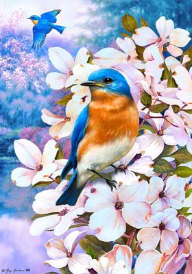 Птицы Весной — стоковые фотографии и другие картинки Без людей - Без людей,  Весна, Ветвь - часть растения - iStock