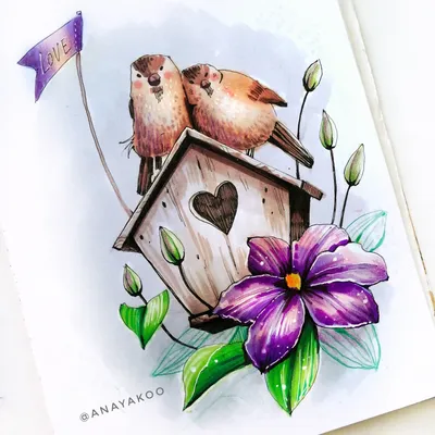 Нужно ли подкармливать птиц весной? Рассказывает орнитолог | bobruisk.ru