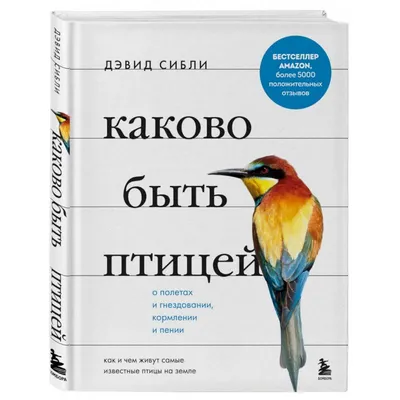 Птичий грипп у диких птиц обнаружен также в Цесисском крае и Мадоне / Статья