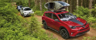 Тест-драйв Toyota RAV4 Exclusive: дорогу покажет! Репортаж / Цифровой  автомобиль