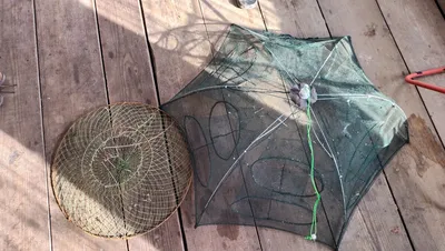 Раколовки. Зонтик или раскладушка, какую выбрать? Сравнение раколовок |  Клевая рыбалка | Дзен
