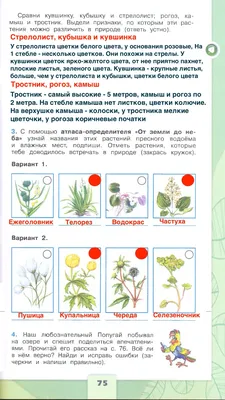 ГДЗ Станица 75 Часть 1 Рабочая тетрадь по окружающему миру за 4 класс  Плешаков Школа России