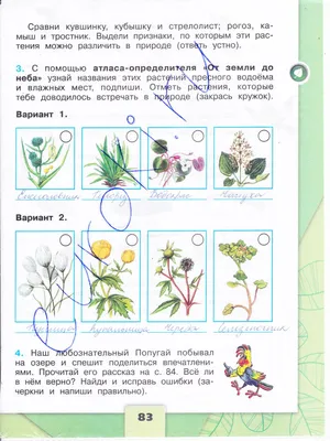 Окружающий мир. Жизнь пресного водоема. 1-4 классы: Таблица-плакат 420х297  – купить по цене: 28,80 руб. в интернет-магазине УчМаг