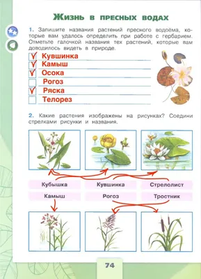 Растения под охраной