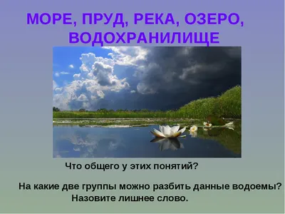 Тест 27. Жизнь пресного водоёма. - презентация, доклад, проект