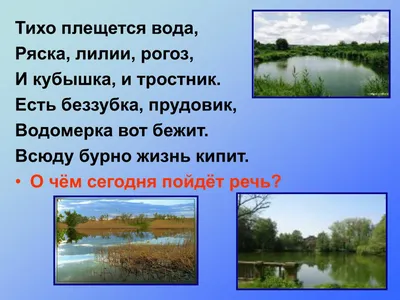 какие это растения жизни в пресных водах, помогите пожалуйста срочно на  28:12:15 пожалуйста - Школьные Знания.com