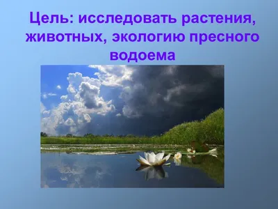 Конспект урока окружающего мира в 4 классе: «Жизнь пресного водоема»