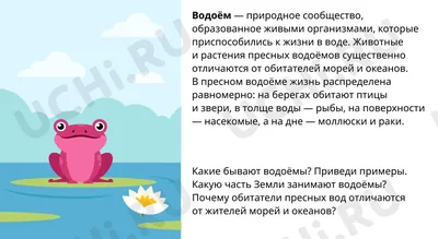 Цветы в воде - part II | SUP Volga | Дзен