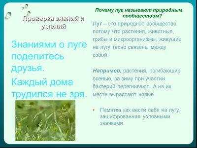 Презентация к уроку \"Жизнь пресного водоема\" 4 класс