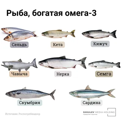 Крупная рыба почти полностью исчезла из рек и озер, заявили ученые - РИА  Новости, 03.03.2020