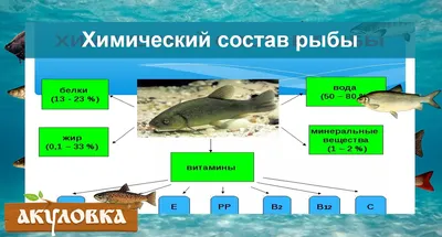 Чем полезно и вредно мясо речной рыбы | fishcom.online