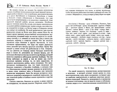 Фото удивительных рыб российских рек: оптимальные размеры для вашего  удобства | Речных рыб россии Фото №730674 скачать
