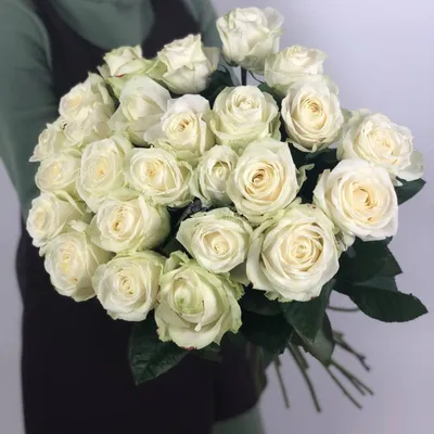 Роза сорта «Аваланж» (Avalanche) - 150 руб, купить в Воронеже в магазине  «Цветы Экспресс»