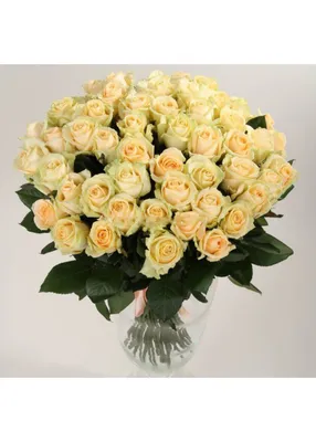 Букет 101 белая роза Аваланж 60 см - Роза 21