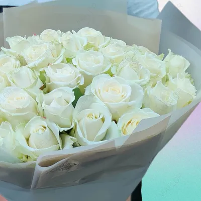 Букет из 25 роз \"Аваланж\" купить в Курске | заказать живые цветы с  доставкой на дом или самовывоз
