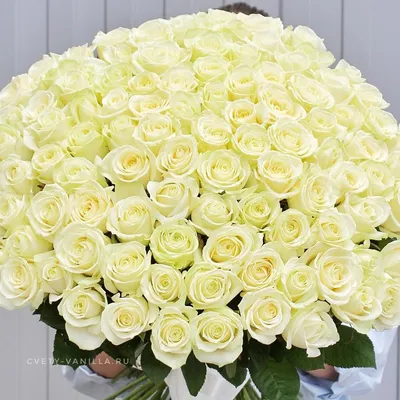 Букет из белых роз Аваланж и малиновых Шангри Ла – розы с доставкой по  Москве и Московской области