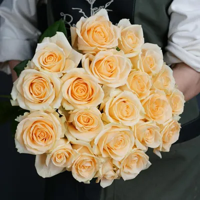 розы #Аваланж / Чайно-гибридная роза Аваланж (лат. rosa hybrida Avalanche).  Белая королева. 2020год - YouTube