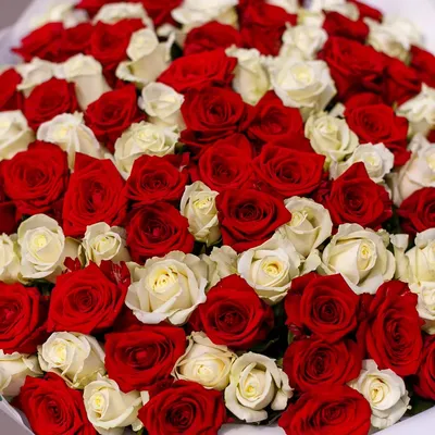 Красная роза, окружённая стеблями с длинными шипами | Картинка на аву
