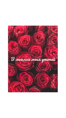 Корзина из 301 розы с надписью \"Мама\" с доставкой в Москве 24 часа