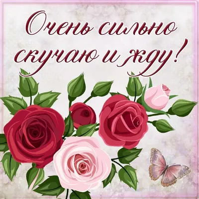 🌹35 роз 50см Стоимость - 3990₽ 🎀 Бесплатная упаковка 🛵 Бесплатная  доставка 📸 Пришлём фото перед доставкой ☑️ Топер с надписью на выбор -… |  Instagram