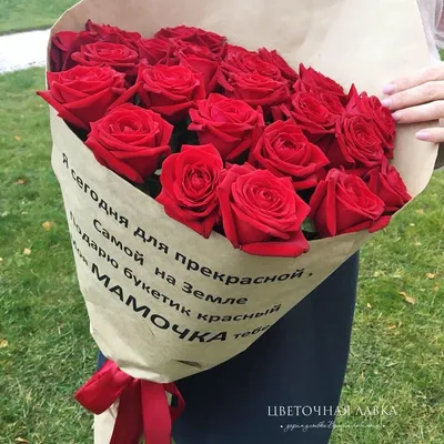 Единственная красная роза на белом фоне с надписью в памяти на вершину  Стоковое Фото - изображение насчитывающей одно, из: 177431060
