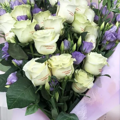Тату Переводка Роза с Надписью — Купить на BIGL.UA ᐉ Удобная Доставка  (1836400049)