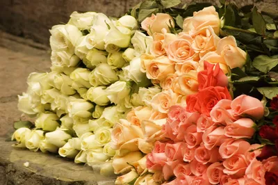 розы вырос бутоны цветы букет HD обои для ноутбука | Schöne blumensträuße,  Muttertag geschenk, Blumen blumenstrauß
