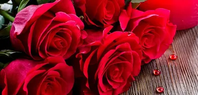 Сколько роз дарить на праздник читайте на сайте Premium-flowers