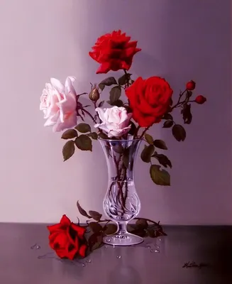 Красивые розовые розы в вазе на столе на белом фоне :: Стоковая фотография  :: Pixel-Shot Studio