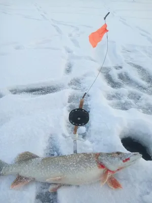 Фото рыбалки зимой фотографии