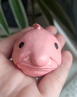 Психролют из холодных вод
