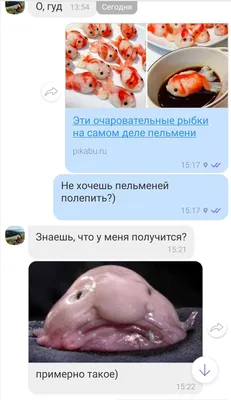 Экзотическая рыба Капля | STENA.ee