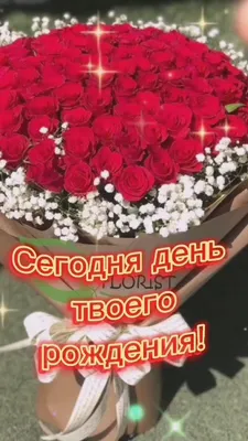 поздравление с днем рождение Уллубий и Зарема｜Поиск в TikTok