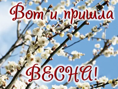 25 необычных картинок «С Первым днем весны!» – Блог Canva