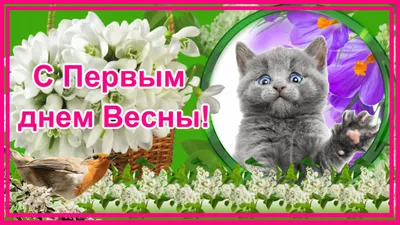 Полигон поздравляет вас с первым днем Весны! | Новости ГК Полигон