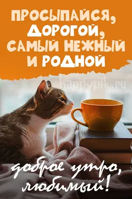 Пожелание доброе утро скачать бесплатно, страница 14