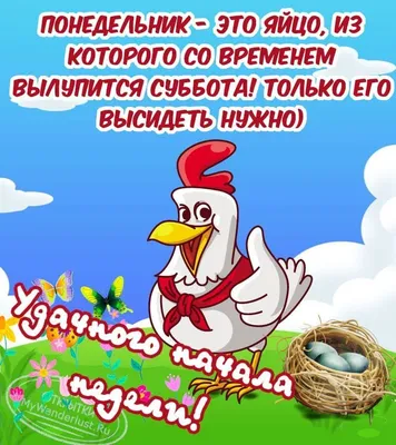 Картинки \"Доброго Утра Понедельника!\" (152 шт.)