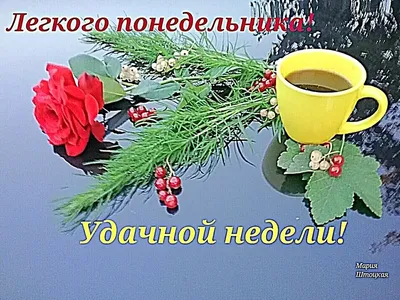 🌺☕️Ух, ты, опять понедельник! Доброе утро понедельника! Удачной недели!  Утренний позитив для друзей! - YouTube