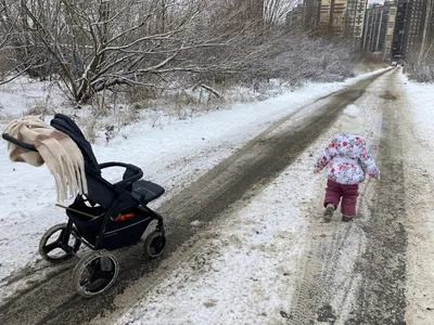 Коляски для зимнего периода