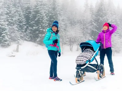 Какую коляску выбрать на зиму для новорожденных