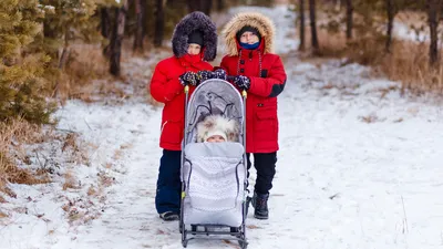 6 полезных вещей, которые облегчат зимние прогулки с коляской - Летидор