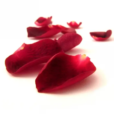 Лепестки роз (1 л) заказать с доставкой в Челябинске - салон «Дари Цветы»