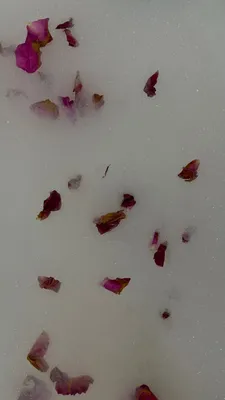 Лепестки роз