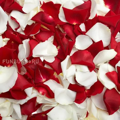 Купить красные лепестки роз в Москве с доставкой недорого