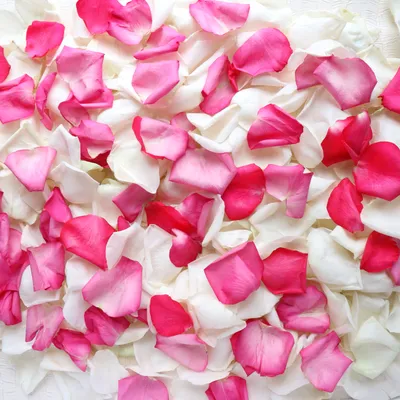 Лепестки роз и их применение: интересные, вкусные и полезные советы!