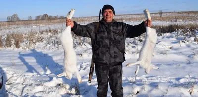 Охота на косулю зимой: способы охоты, выбор оружия, как выследить