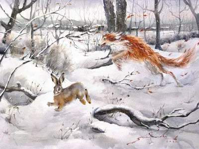 Зимняя охота на лису - особенности, правила, как вести себя охотнику | Охота  на лис зимой - видео, фото