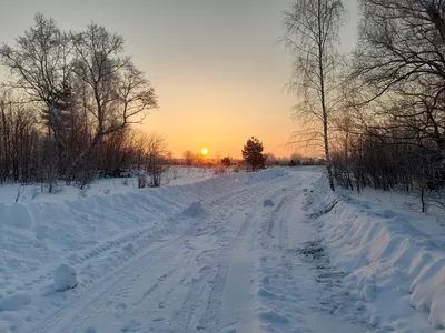 Виды охоты — Охота и охотничье хозяйство