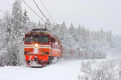 Каково это, ехать на поезде зимой. Вид из окна | МАБ | Дзен