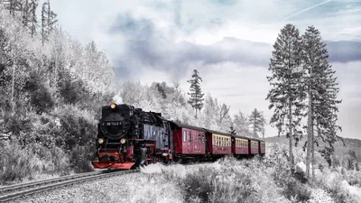 Вертикальный Снимок Поезда Излучающего Дым Лесу Зимой стоковое фото  ©Wirestock 447960080